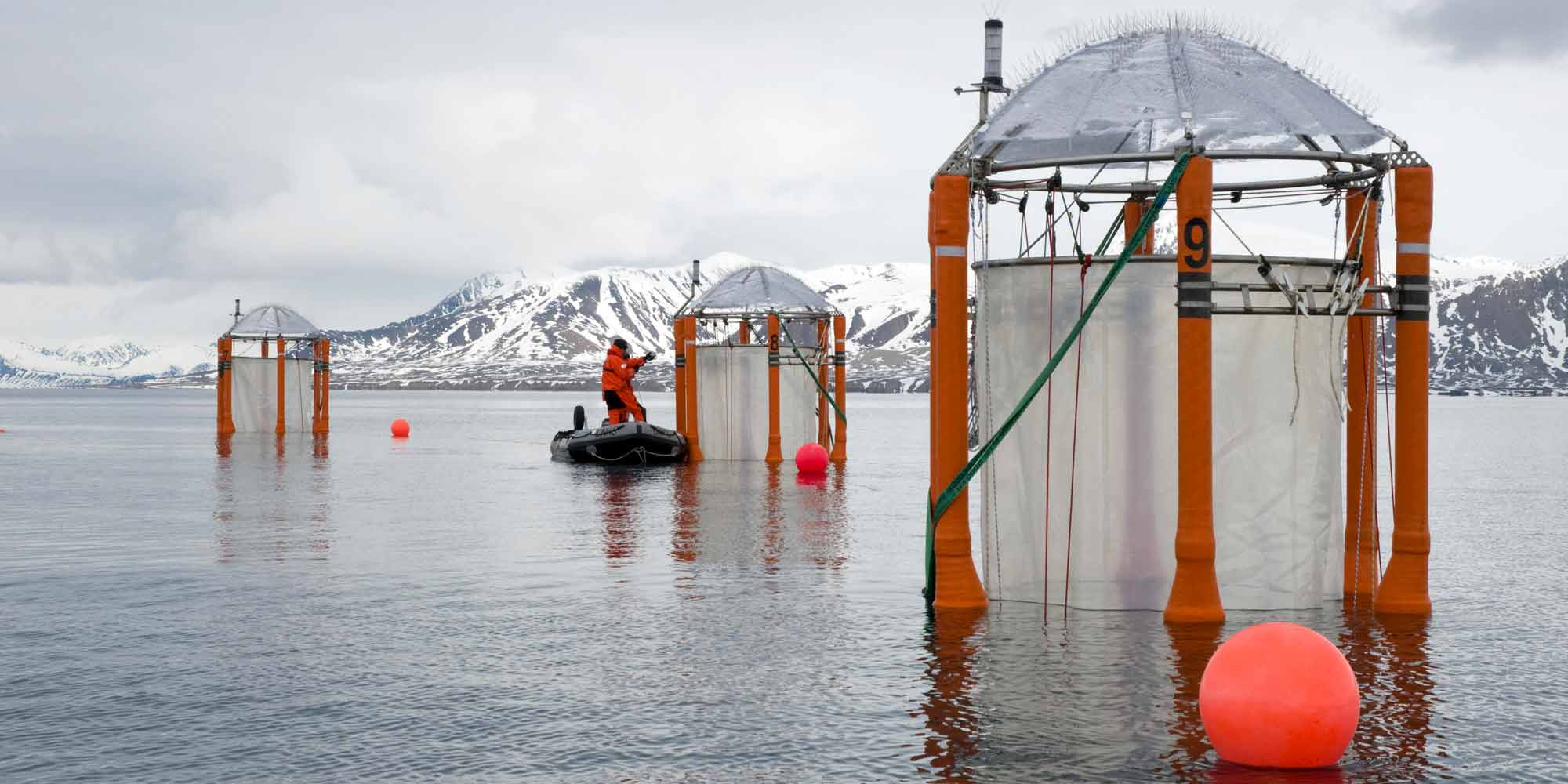 Scientists sampling mesocosms at Kongsfjord, Ny-Alesund, Svalbard.