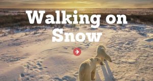 Walking on snow activity screenshot