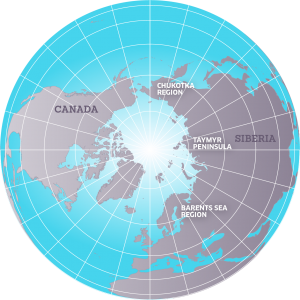 Arctic region map on a globe