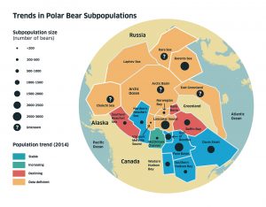 Trends in Polar bear subpopulations