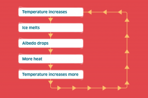 Feedback loop diagram showing temperature