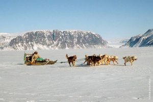 Inuit hunter on sledge