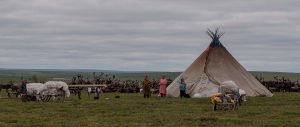 Nenets chum (camp)