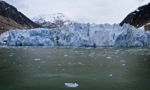 Glacier melts into the sea