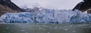 Glacier melts into the sea