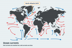 A graphic map of ocean currents