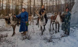 Mongolian reindeer herders