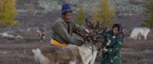 A couple of reindeer herders with their reindeer