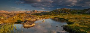 Small lake in Arctic in summer