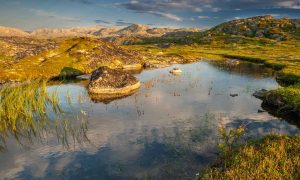 Small lake in Arctic in summer