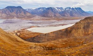 Arctic tundra landscape