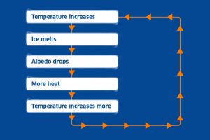 Arctic climate - positive feedback loop diagram