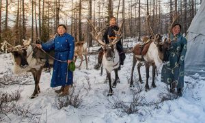 Mongolian reindeer herder women