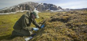 Scientist in Svalbard